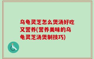 乌龟灵芝怎么煲汤好吃又营养(营养美味的乌龟灵芝汤煲制技巧)