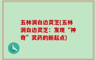 五林洞白边灵芝(五林洞白边灵芝：发现“神奇”灵药的新起点)