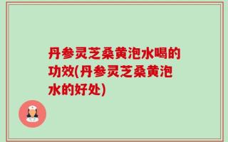 丹参灵芝桑黄泡水喝的功效(丹参灵芝桑黄泡水的好处)