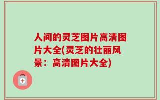 人间的灵芝图片高清图片大全(灵芝的壮丽风景：高清图片大全)
