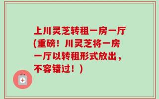 上川灵芝转租一房一厅(重磅！川灵芝将一房一厅以转租形式放出，不容错过！)