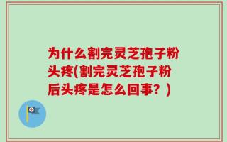 为什么割完灵芝孢子粉头疼(割完灵芝孢子粉后头疼是怎么回事？)