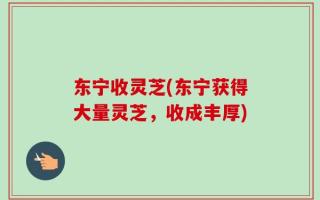 东宁收灵芝(东宁获得大量灵芝，收成丰厚)
