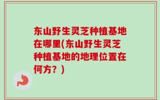 东山野生灵芝种植基地在哪里(东山野生灵芝种植基地的地理位置在何方？)