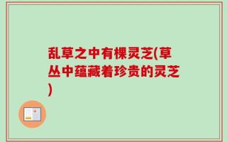 乱草之中有棵灵芝(草丛中蕴藏着珍贵的灵芝)