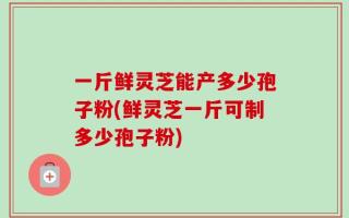一斤鲜灵芝能产多少孢子粉(鲜灵芝一斤可制多少孢子粉)