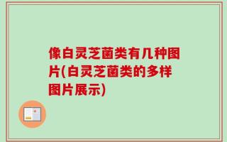 像白灵芝菌类有几种图片(白灵芝菌类的多样图片展示)
