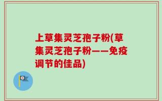 上草集灵芝孢子粉(草集灵芝孢子粉——免疫调节的佳品)