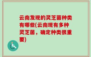云南发现的灵芝菌种类有哪些(云南现有多种灵芝菌，确定种类很重要)