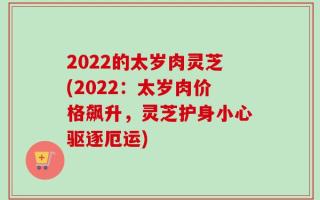 2022的太岁肉灵芝(2022：太岁肉价格飙升，灵芝护身小心驱逐厄运)