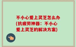 不小心爱上灵芝怎么办(抗疲劳神器：不小心爱上灵芝的解决方案)