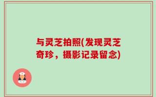 与灵芝拍照(发现灵芝奇珍，摄影记录留念)