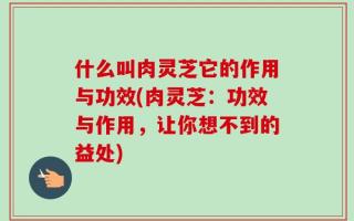 什么叫肉灵芝它的作用与功效(肉灵芝：功效与作用，让你想不到的益处)