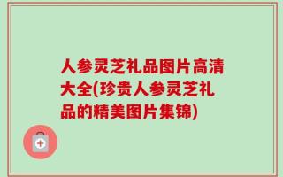 人参灵芝礼品图片高清大全(珍贵人参灵芝礼品的精美图片集锦)