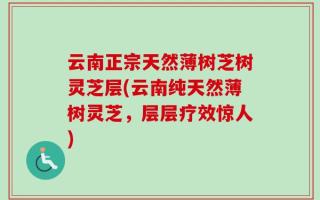 云南正宗天然薄树芝树灵芝层(云南纯天然薄树灵芝，层层疗效惊人)