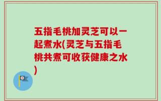 五指毛桃加灵芝可以一起煮水(灵芝与五指毛桃共煮可收获健康之水)