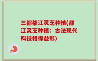 三都都江灵芝种植(都江灵芝种植：古法现代科技相得益彰)