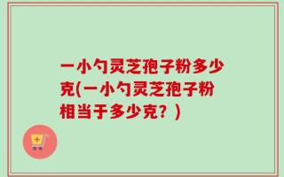 一小勺灵芝孢子粉多少克(一小勺灵芝孢子粉相当于多少克？)