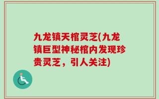 九龙镇天棺灵芝(九龙镇巨型神秘棺内发现珍贵灵芝，引人关注)