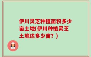 伊川灵芝种植面积多少亩土地(伊川种植灵芝土地达多少亩？)