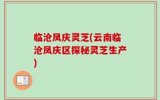 临沧凤庆灵芝(云南临沧凤庆区探秘灵芝生产)