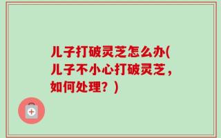 儿子打破灵芝怎么办(儿子不小心打破灵芝，如何处理？)
