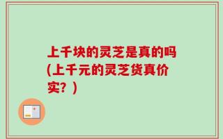 上千块的灵芝是真的吗(上千元的灵芝货真价实？)