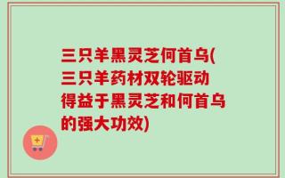 三只羊黑灵芝何首乌(三只羊药材双轮驱动 得益于黑灵芝和何首乌的强大功效)