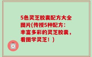 5色灵芝胶囊配方大全图片(传授5种配方：丰富多彩的灵芝胶囊，看图学灵芝！)