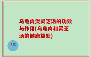 乌龟肉煲灵芝汤的功效与作用(乌龟肉和灵芝汤的健康益处)
