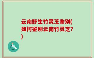 云南野生竹灵芝鉴别(如何鉴别云南竹灵芝？)