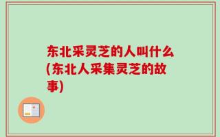 东北采灵芝的人叫什么(东北人采集灵芝的故事)