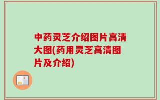 中药灵芝介绍图片高清大图(药用灵芝高清图片及介绍)