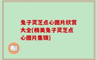 兔子灵芝点心图片欣赏大全(精美兔子灵芝点心图片集锦)