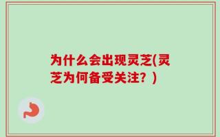 为什么会出现灵芝(灵芝为何备受关注？)