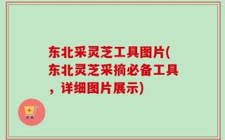 东北采灵芝工具图片(东北灵芝采摘必备工具，详细图片展示)