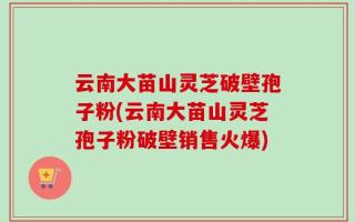 云南大苗山灵芝破壁孢子粉(云南大苗山灵芝孢子粉破壁销售火爆)
