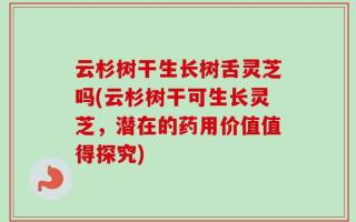 云杉树干生长树舌灵芝吗(云杉树干可生长灵芝，潜在的药用价值值得探究)