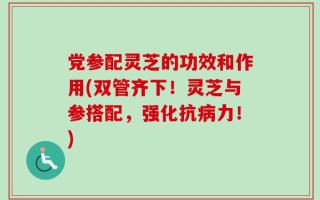 党参配灵芝的功效和作用(双管齐下！灵芝与参搭配，强化抗病力！)