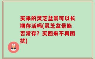 买来的灵芝盆景可以长期存活吗(灵芝盆景能否常存？买回来不再困扰)