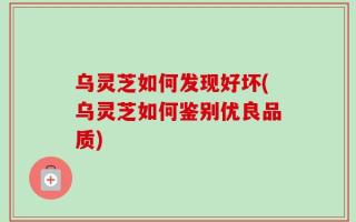 乌灵芝如何发现好坏(乌灵芝如何鉴别优良品质)