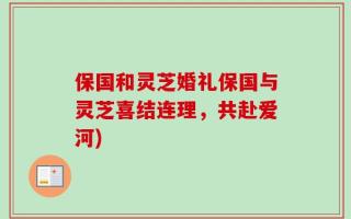 保国和灵芝婚礼保国与灵芝喜结连理，共赴爱河)