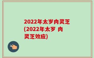 2022年太岁肉灵芝(2022年太岁 肉灵芝效应)