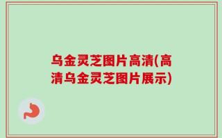 乌金灵芝图片高清(高清乌金灵芝图片展示)