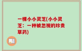 一棵小小灵芝(小小灵芝：一种被忽视的珍贵草药)