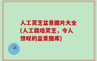 人工灵芝盆景图片大全(人工栽培灵芝，令人惊叹的盆景图库)