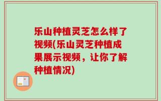乐山种植灵芝怎么样了视频(乐山灵芝种植成果展示视频，让你了解种植情况)