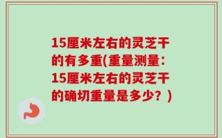 15厘米左右的灵芝干的有多重(重量测量：15厘米左右的灵芝干的确切重量是多少？)