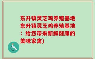 东升镇灵芝鸡养殖基地东升镇灵芝鸡养殖基地：给您带来新鲜健康的美味家禽)