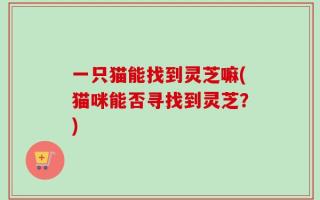 一只猫能找到灵芝嘛(猫咪能否寻找到灵芝？)